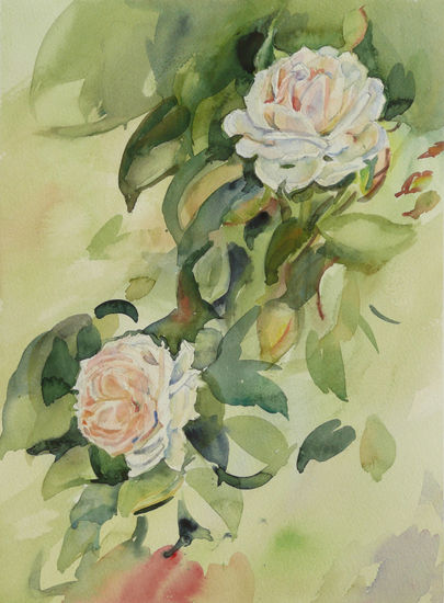 Rosas blancas 3 Watercolour Paper Floral Painting