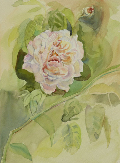 Rosal trepador Watercolour Paper Floral Painting