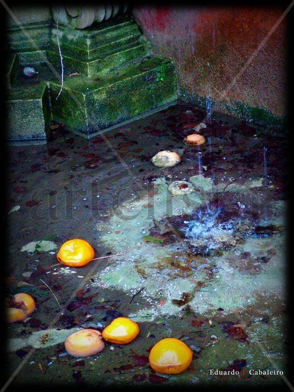 Invierno#08