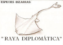 "raya diplomática"