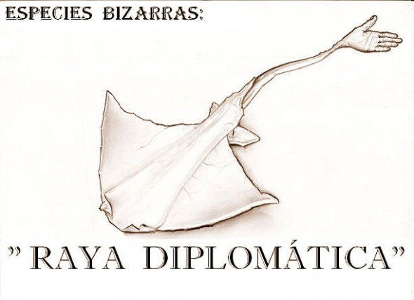 "RAYA DIPLOMÁTICA" Lápiz