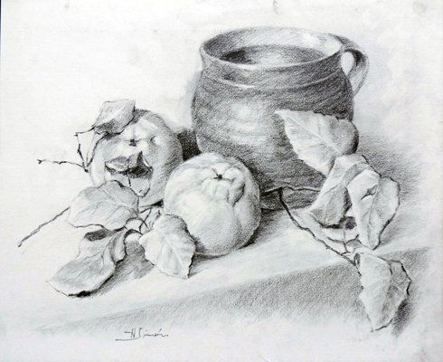 bodegon