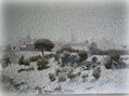 Nevada en Toledo