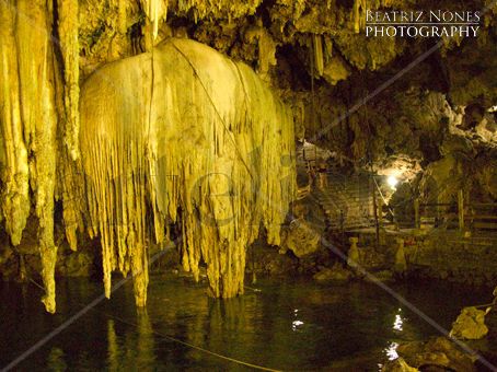 Cenote Nature Color (Digital)