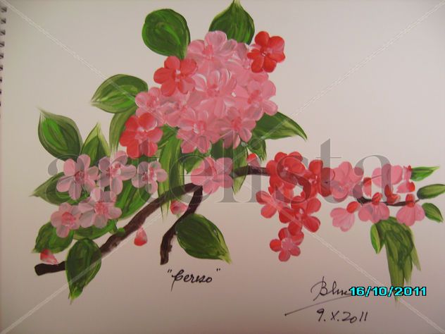 Cerezo
