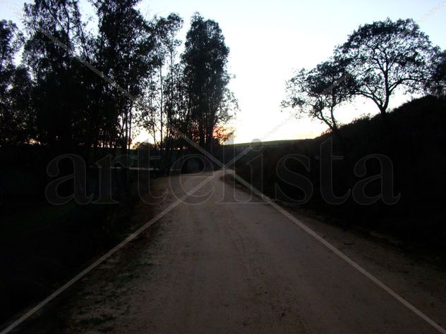 Un camino en el atardecer