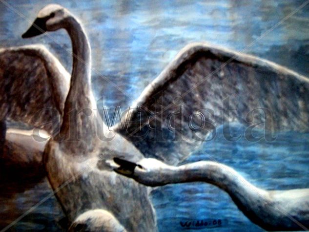 CISNES DEL NORTE  (REPRODUCCION LIENZO/BASTIDOR) Ink Canvas Animals