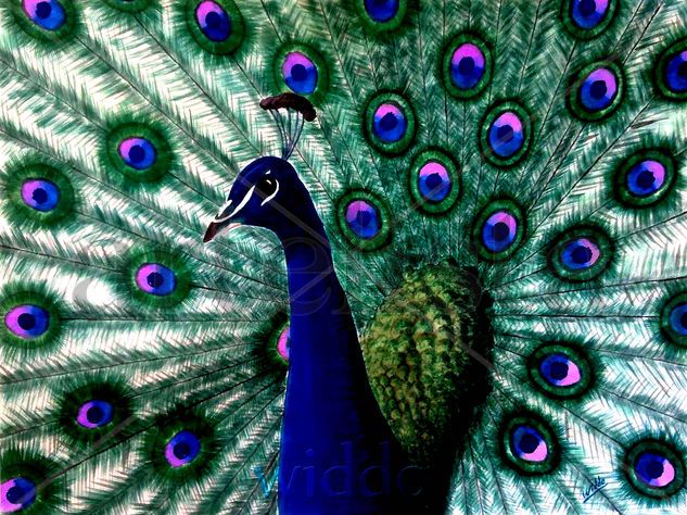 CRISTATUS AZUL (REPRODUCCION LIENZO/BASTIDOR) Ink Canvas Animals