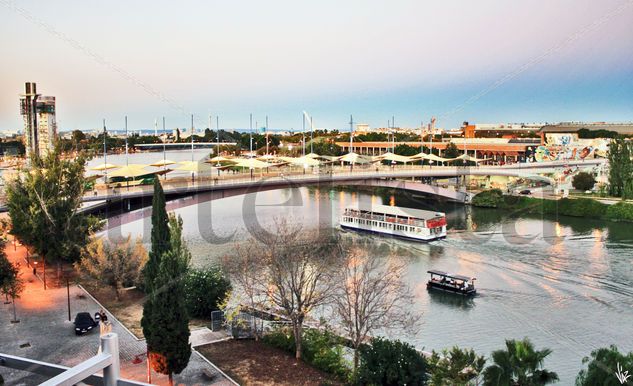 puente del cachorro Viajes Técnicas alternativas