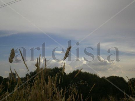 La tarde de domingo...