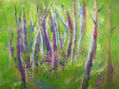 BOSQUE