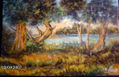 ARBOLEDA EN EL RIO