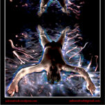 GEOMETRIZADO (2010) thumbnail 1