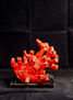 Coral 1o97