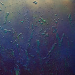 Wonderland thumbnail 1