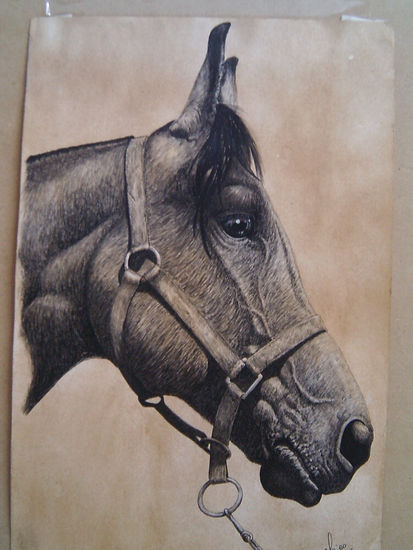 Caballo criollo Ink