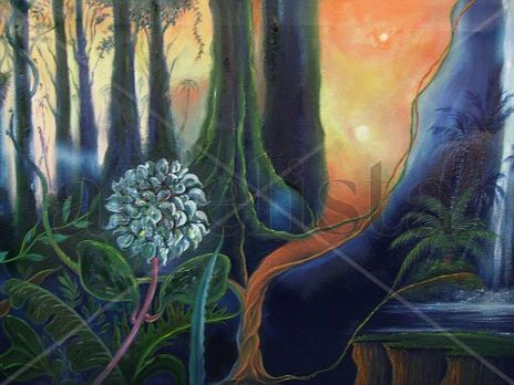 Selva