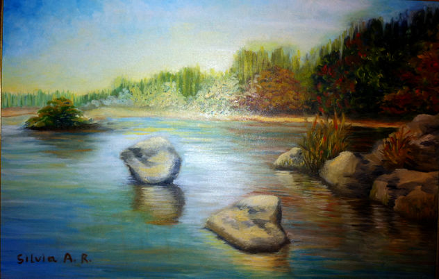 piedras en el río