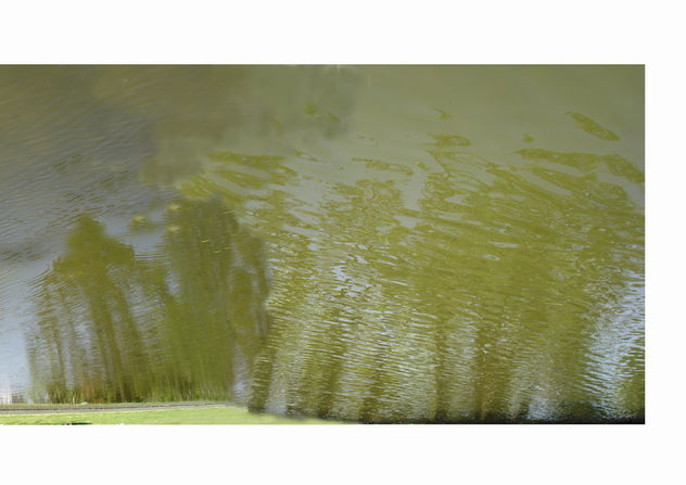 Vibraciones verdes