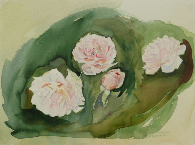 Rosas, grupo Watercolour Paper Landscaping