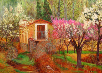 Campo