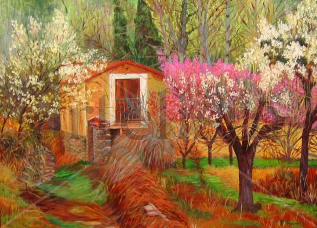 campo