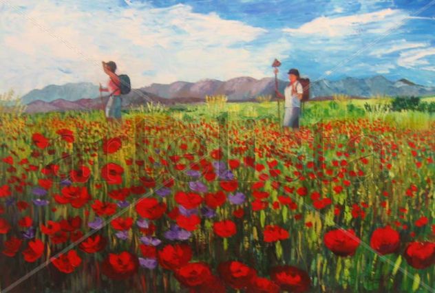 camino de santiago