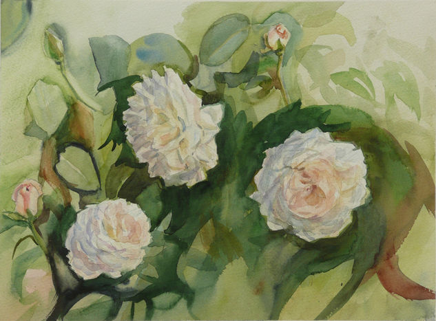 Rosas blancas 4 Watercolour Paper Floral Painting