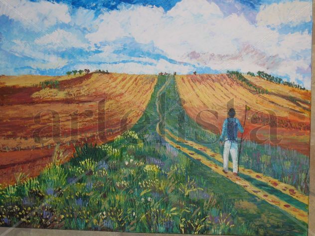 caminando por la vida