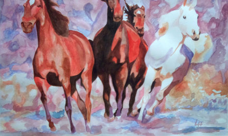 ANIMALES