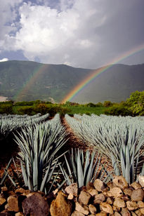 Arcoiris