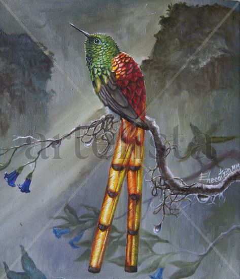 Sappho Sparganura, Colibrí Cometa Oil Canvas Animals