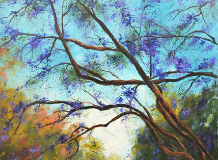 Jacaranda 1