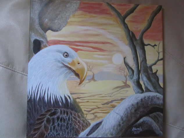 AGUILA Acrylic Canvas Animals