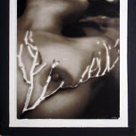 THE GILGAMESH PROJECT thumbnail 1