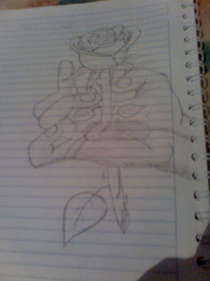 Rosa