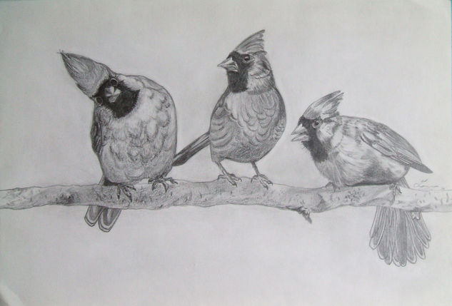 Tres son multitud Graphite Paper Animals