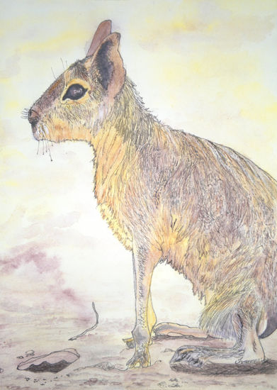 Mara patagonica Watercolour Paper Animals