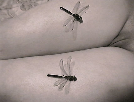 Vuelo nupcial