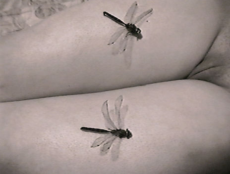 Vuelo nupcial