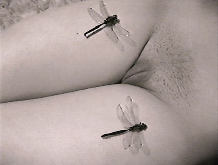 Vuelo nupcial