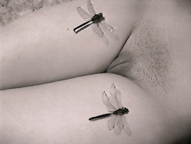 Vuelo nupcial