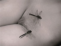 Vuelo nupcial
