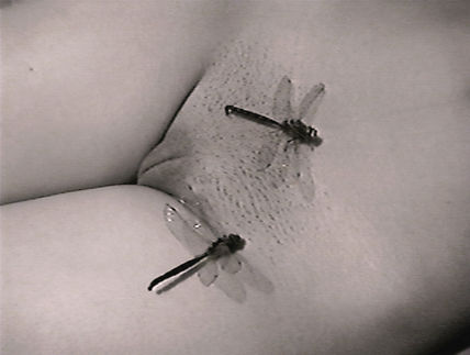 Vuelo nupcial