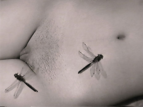 Vuelo nupcial