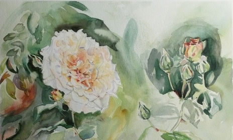 1 Rosas