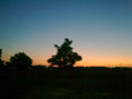 amanecer para los enamorados