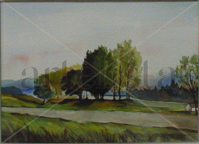 camino Watercolour Paper Landscaping