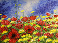 Amapolas de Jaén.......