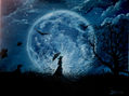 paseo lunar